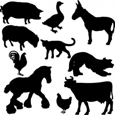 EM für Tiere