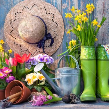 EM für Garten