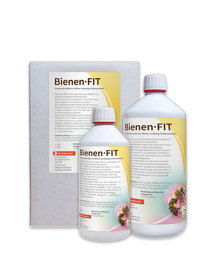 Bienen-FIT