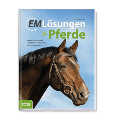 EM Lösungen - Pferde