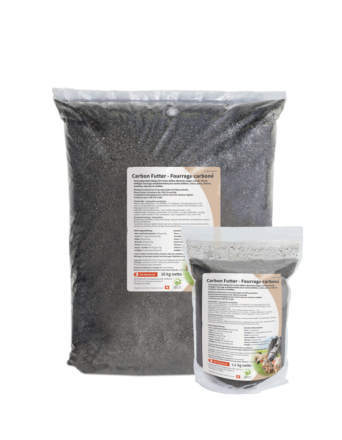 Carbon Futter